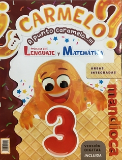 Y CARMELO? 3 - AREAS INTEGRADAS