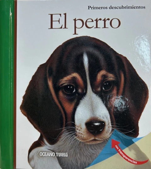 PERRO, EL - PRIMEROS DESCUBRIMIENTOS