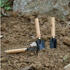 Kit Jardinagem Para Vaso Suculentas Plantas Jardim Promoção/3