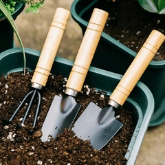 Kit Jardinagem Para Vaso Suculentas Plantas Jardim Promoção/4
