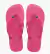 OJOTAS HAVAIANAS BRASIL - 4000032 PINK PARADISE en internet
