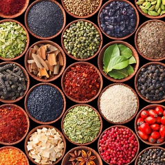 HERBES THE PROVENCE SPYCE BLEND THE GOURMET COLLECTION 37GR en internet