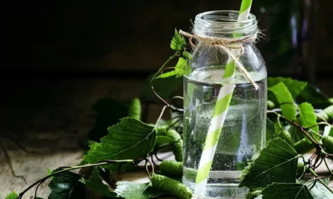 Abedul hierba x 100gr -