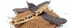 HARINA DE ALGARROBA NEGRA X 100GR