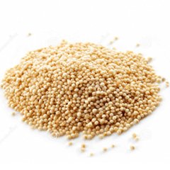 SEMILLAS DE AMARANTO X 100GR - ELS - comprar online