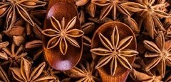 ANÍS ESTRELLADO X 10 GR - ELS