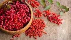 BAYAS DE GOJI X 10GR - VIL