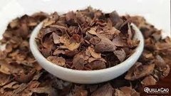 CASCARILLA DE CACAO X 100GR - ELS
