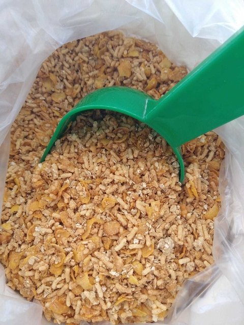 GRANOLA CROCANTE CON COCO Y MIEL X 100GR GRANIX
