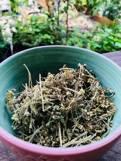 Altamisa hierba x 100gr