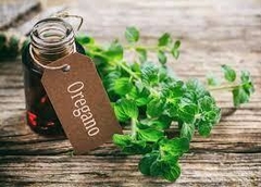 ACEITE DE OREGANO ORGANICO X 30ML