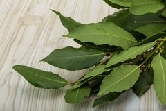 LAUREL HOJA X 10 GR - ELS