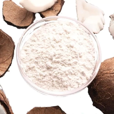 LECHE DE COCO EN POLVO SIN CASEÍNA X 100GR