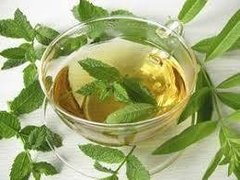 SALVIA DE LA PUNA HIERBA X 100GR - BIO