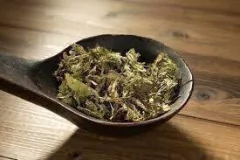STEVIA HOJAS X 10GR - VIL