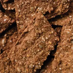 TOSTADITAS SARRACENO GERMINADO CON MASA MADRE X100G - SHIVA - comprar online