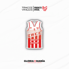 STICKER NRO 9 CAMISETA CAMPEON LIGA NACIONAL 2022