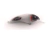 SEÑUELO TITAN 95 MM PALA 1 HOPLIAS LURES - Nautishop