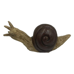 CARACOL CARAMUJO