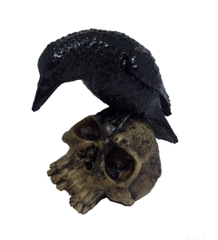CRANIO CAVEIRA COM CORVO