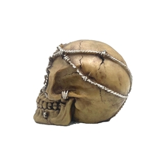 CRANIO C/ CORRENTES - comprar online