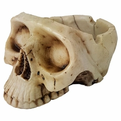 CINZEIRO CAVEIRA CRANIO