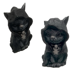 GATO COM CAPUZ