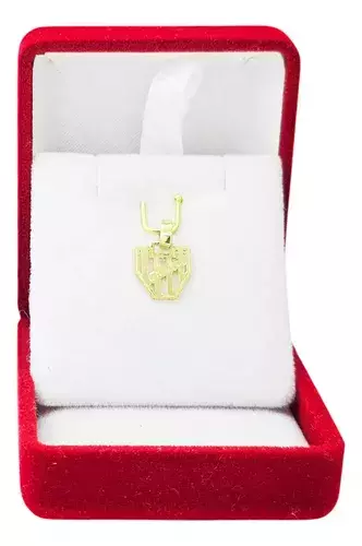 Dije Oro 18k Escudo Instituto De Córdoba C1601 - comprar online