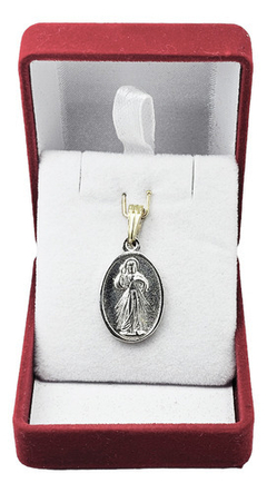 Dije Plata Y Oro 18kts Sagrado Corazón De Jesús C1274 - comprar online