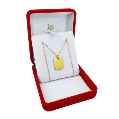 Conjunto Chapa Cartier Oro 18kts + Cadena Forcet - 2.6Grs en internet