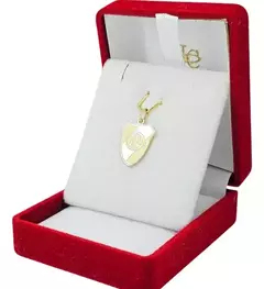 Dije Oro 18k Club Atlético River Plate El Millonario C1554 - tienda online