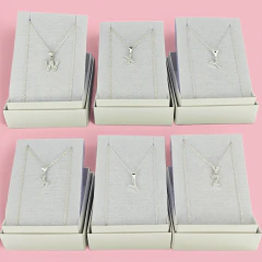 Collar Conjunto Plata 925 Inicial Con Piedras Mcs - C2339