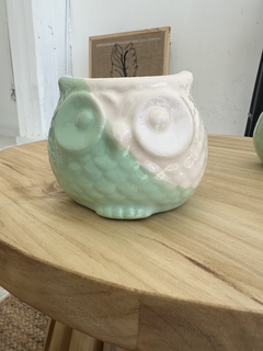 MACETA BUHO BICOLOR - comprar online