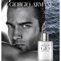 Armani Acqua di Gio EDT 100ml na internet