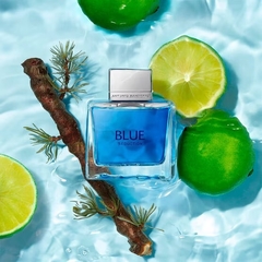 Antonio Banderas Blue Seduction EDT 100ml na internet