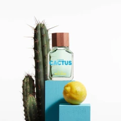 Benetton Green Cactus for Him EDT 100ml na internet