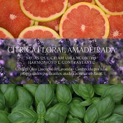 Loccitane en Provence Desodorante Colonia de Lavanda 300ml na internet