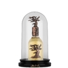 Lattafa Pride Eternal Oud EDP 100ml