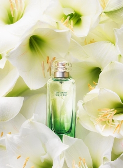 Hermes Un Jardin sur le Toit EDT 100ml* na internet