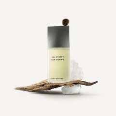 Issey Miyake Leau Dissey Pour Homme EDT 40ml na internet