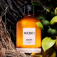 Joop Wow EDT 100ml na internet