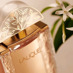 Lalique EDP 100ml na internet