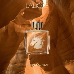 Lalique Pour Homme Equus EDP 75ml* - comprar online
