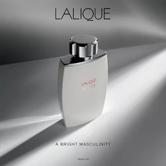 Decant Lalique White EDT na internet