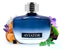 Paris Bleu Aviator Code EDT 100ml na internet