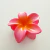 Broche Hawaiana - comprar online