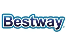 Imagen de Pileta De Lona Aro Inflable redonda 305x76 cm - Bestway