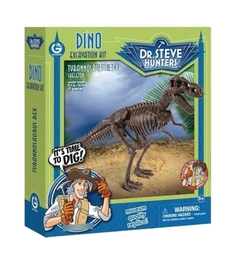 Kit Excavación Esqueleto de Dinosaurio en internet