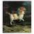 Obra Original ¨Gato Espacial" Jaki Charrua