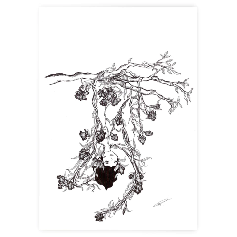 Print "Shulca" Mariela Cuccia